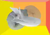 Janet Bathgate, 'Zagano Microphyllia' fine art print, $1,500 framed